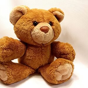 Teddy for kids
